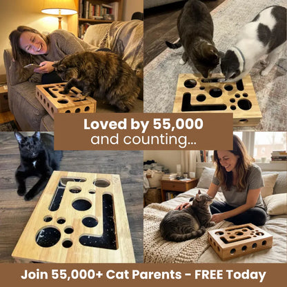 NailNest™ [Free Today]
