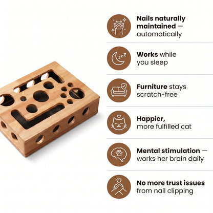 NailNest™ [Free Today]